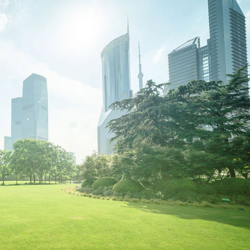 Prato verde in una città sostenibile